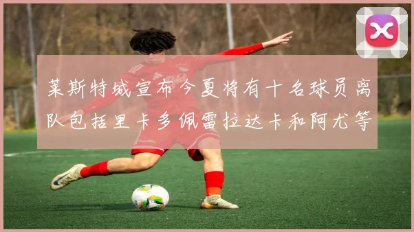 莱斯特城宣布今夏将有十名球员离队包括里卡多佩雷拉达卡和阿尤等人